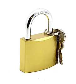 ELKA SARI ASMA KİLİT 50 LİK